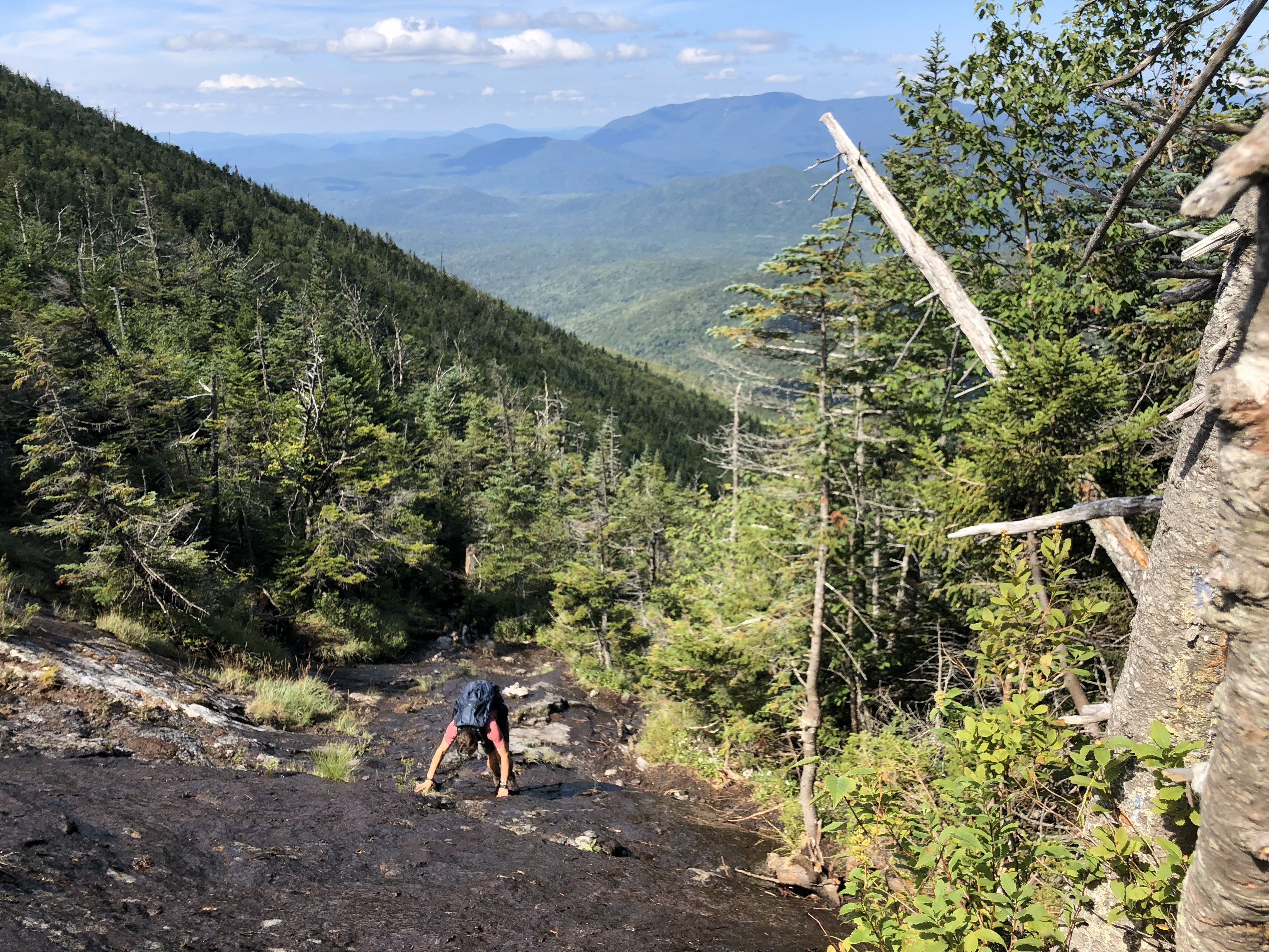 View looking northwest from the Allen Mountain slide trail, with the High Peaks in the distance.